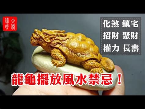 龍龜手鍊頭方向|【龍龜手鍊頭方向】龍龜手鍊頭的方向秘密：戴對了財源滾滾來